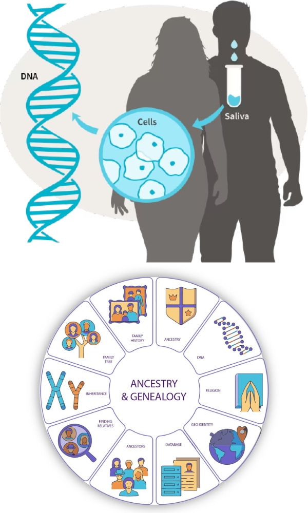 Gentic testing